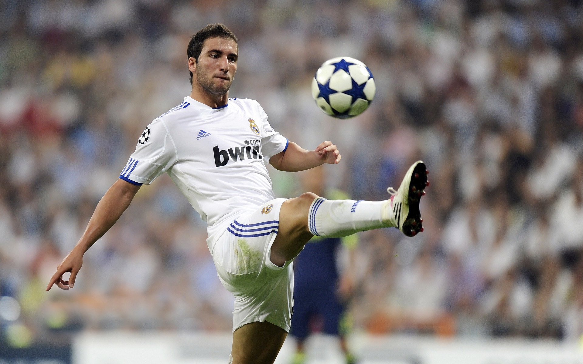 独行侠超级球星统治比赛